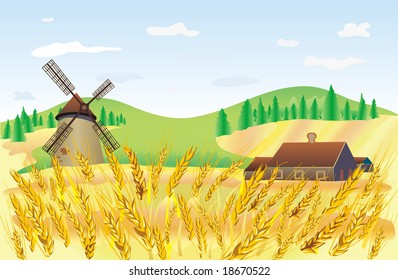 wheat field