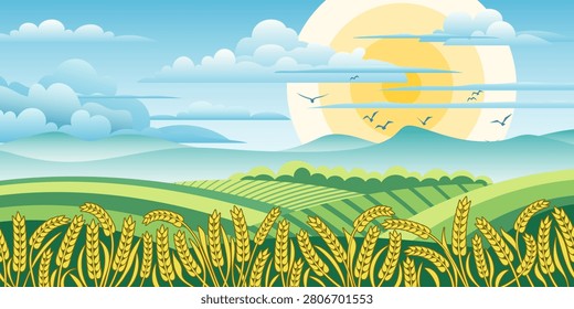 Wheat field against the backdrop of the sky and the sun, ears of wheat, rye or barley, agriculture and harvest, vector illustration