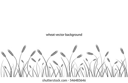 Wheat field background. Black silhouettes isolated on white. Vector.
