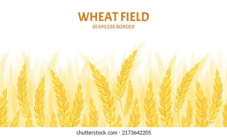 Wheat field background. Cereal plants seamless pattern. Vector cartoon illustration.