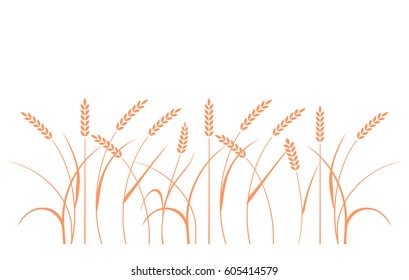 Wheat field background. Cereals icon set with rice, wheat, corn, oats, rye, barley. Ears of wheat bread symbols. Organic , agriculture seed, plant and food, natural eat.