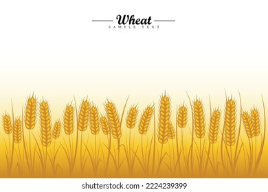 Wheat field background. Golden wheat ears of cereals with wheat tree and wheat leaf on white background