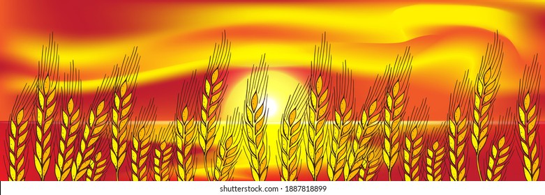 Wheat field. Beautiful Nature Sunset Landscape Ears of golden wheat. Rural Scenery under Shining Sunlight. Background of ripening ears of meadow wheat field. Rich harvest Concept. Vector