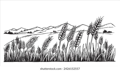 campo de trigo, ilustración en blanco y negro en estilo de boceto, grabado. dibujo vintage, granja