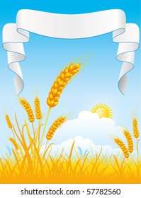 Wheat field,  blue sky and clouds