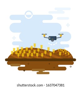 Wheat field and drone illustrations. Irrigation with drone plant stem. 