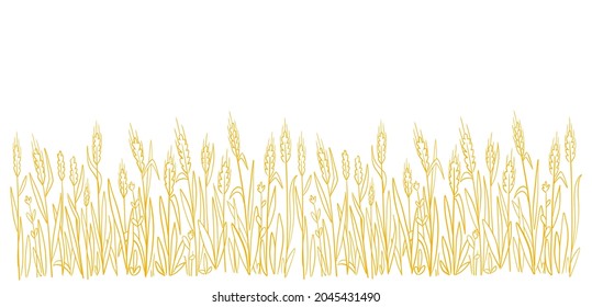 Wheat field. Hand drawn sketch. Agriculture cereal harvest. Bread wrapper. Dry rye grass straw. Horizontal banner.