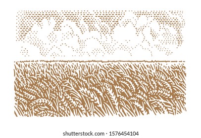 Wheat Field Illustration, Vector. 2 Layers.