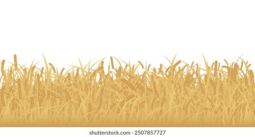 Wheat field isolated flat design graphic illustrated on white background. Rice field side view object template.