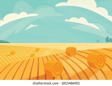Wheat field landscape vector illustration after haymaking. Nature farm scenery with golden yellow haystack rolls. Bright summer countryside view.