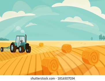 Wheat field landscape vector illustration after haymaking with tractor. Nature farm scenery with golden yellow haystack rolls. Bright summer countryside view.