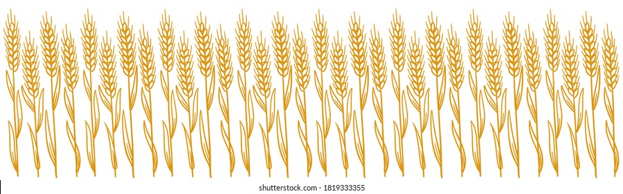 Wheat field. Leaves and Ears of rye. Agriculture straw. Horizontal banner background. Dry yellow grass. Orange contour vector line. Bread wrapper.