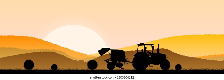 Wheat field in the morning at sunrise. The tractor drives, weaves, collects bales. Agricultural concept. Vector illustration