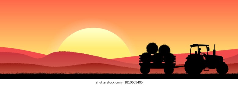 Wheat field at night with tractor carrying hay. The tractor drives, make hay and collects bales. Agricultural concept. Vector illustration