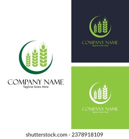 Wheat field organic wheat harvest nature logo concept, success farming icon logo vector design template