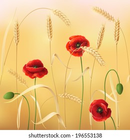 Wheat field with red poppies. 