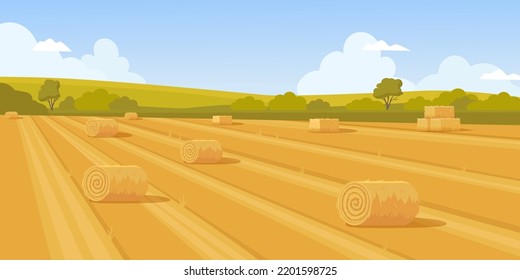 wheat field. rural landscape with rolled haystack. Vector cartoon pictures template