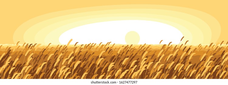 Wheat field scenic tranquil and calm landscape vector illustration, forget about all the problems and relax concept.