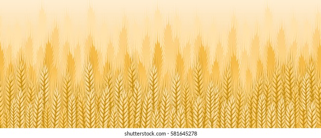 Wheat field seamless background. Agricultural landscape pattern. Vector illustration.