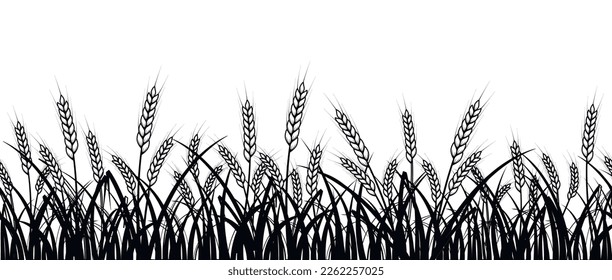 Wheat field. Seamless pattern of ears of wheat on white background.