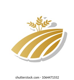 Wheat field sign. Vector. Golden gradient icon with white contour and rotated gray shadow at white background.