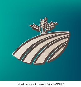 Wheat field sign. Vector. Icon printed at 3d on sea color background.