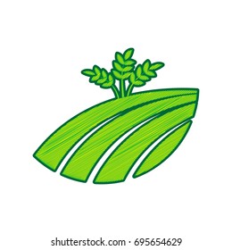 Wheat field sign. Vector. Lemon scribble icon on white background. Isolated
