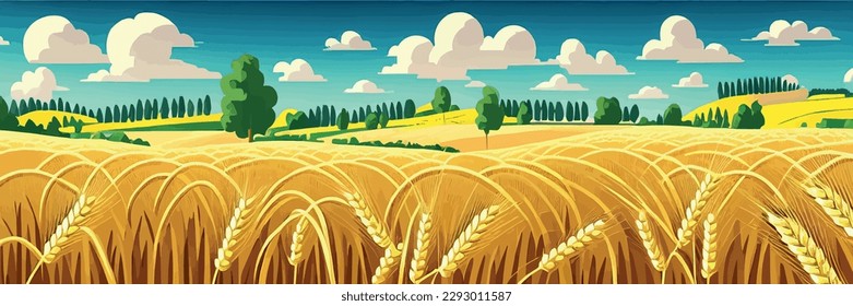 Wheat field sky with clouds. Countryside summer background gold colors grain nature. health food poster. Barley vector illustration vintage style. Wheat grain. Summer landscape with field ripe wheat 