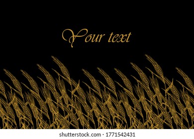 Wheat field with space for your text. Hand drawn Gold Grains vector illustration on black background. Barley or rye plants