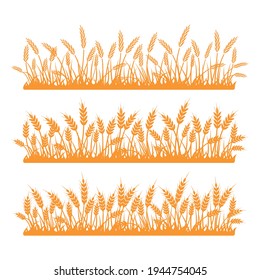 Wheat field. Spikelets of golden wheat, rye, barley on a white background. Vector.