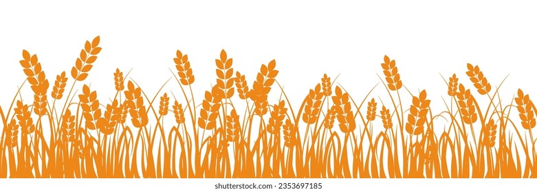 Wheat field. Spikelets of golden wheat silhouette background