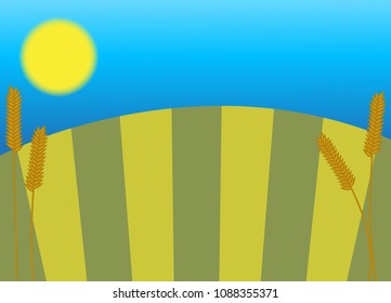 A wheat field in the sun with large stalks of wheat in the foreground