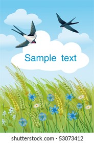 Wheat field with swallows in summer