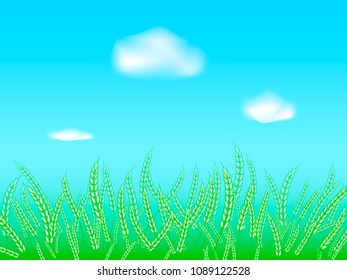 Wheat field. Vector illustration.