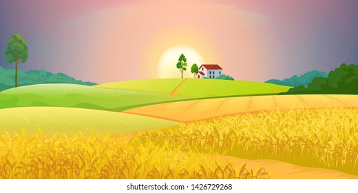 Wheat fields. Village farm landscape with green hills and sunset. Vector bright illustration rural agricultural countryside with buildings and trees