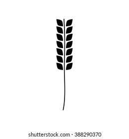 wheat flat icon