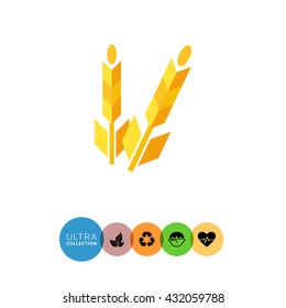 Wheat flat icon