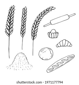 Wheat and flour food set, vector illustration, doodle, hand drawn
