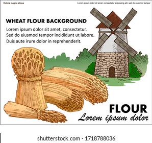 Wheat flour production. Vector. Farm Label. Windmill. Sheaves of dry ripe wheat. Stack. Spike Production of flour, bread, bakery, farmer's traditional natural products.