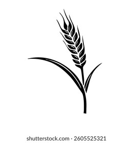 wheat flower outline clipart vector