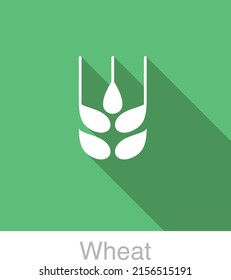 Wheat food flat icon design   vector illustration