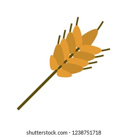 Wheat food leaves
