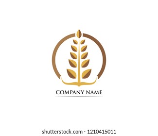 Wheat food logo vector