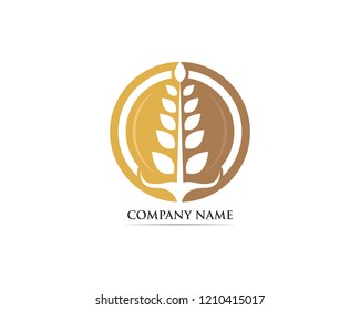 Wheat food logo vector