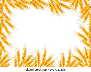 Wheat frame with place for text. Template for your design. Vector illustration