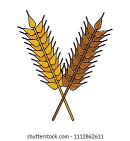 Wheat fresh food scribble