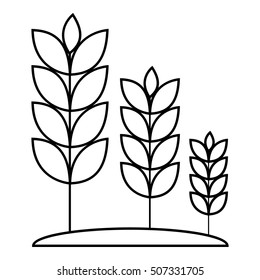 Wheat germ icon. Outline illustration of wheat germ vector icon for web