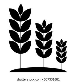 Wheat germ icon. Simple illustration of wheat germ vector icon for web
