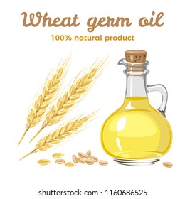 Wheat germ oil in glass bottle, wheat ears and grain isolated on white background. Vector illustration in a flat style.