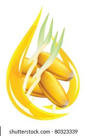Wheat germ oil. Stylized drop. Vector illustration on white background.